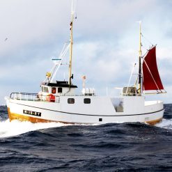 Båt