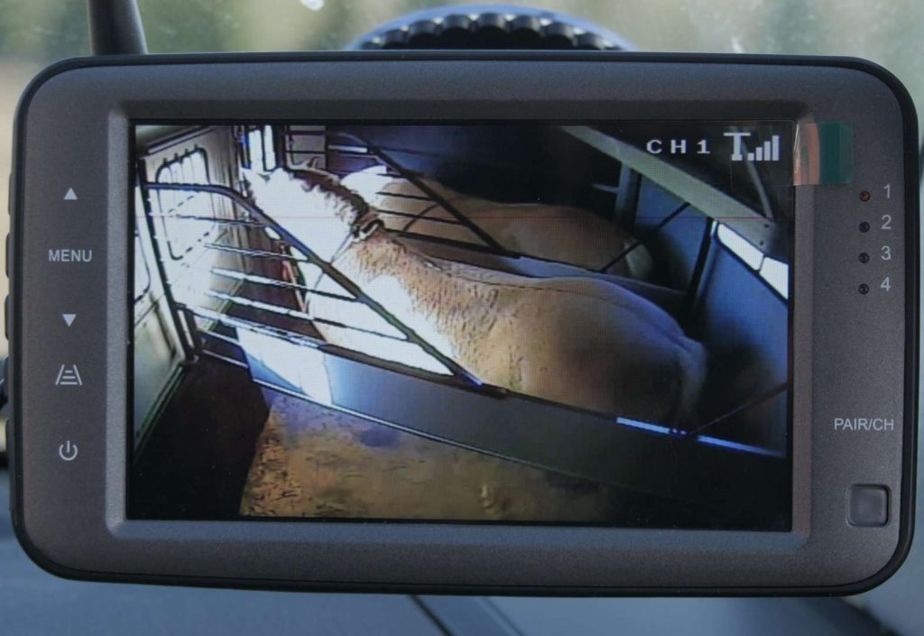 Trådløst kamera for hestehenger viser hesteer på henger på skjerm